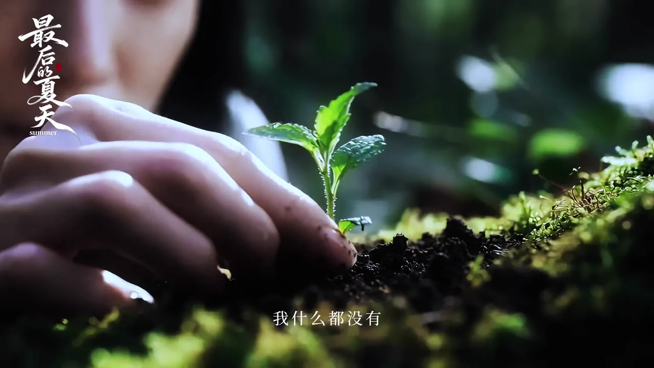最后的夏天