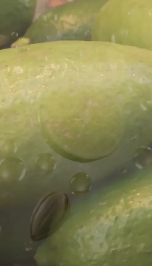 青柠漩涡
